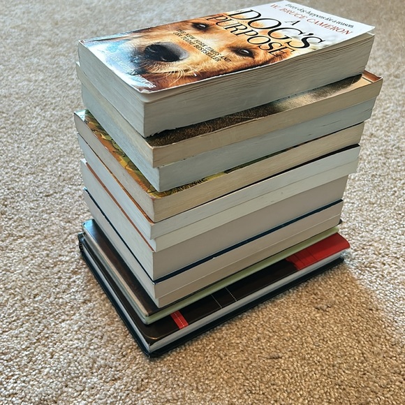 Lot of Eleven Youth Books - Picture 4 of 4